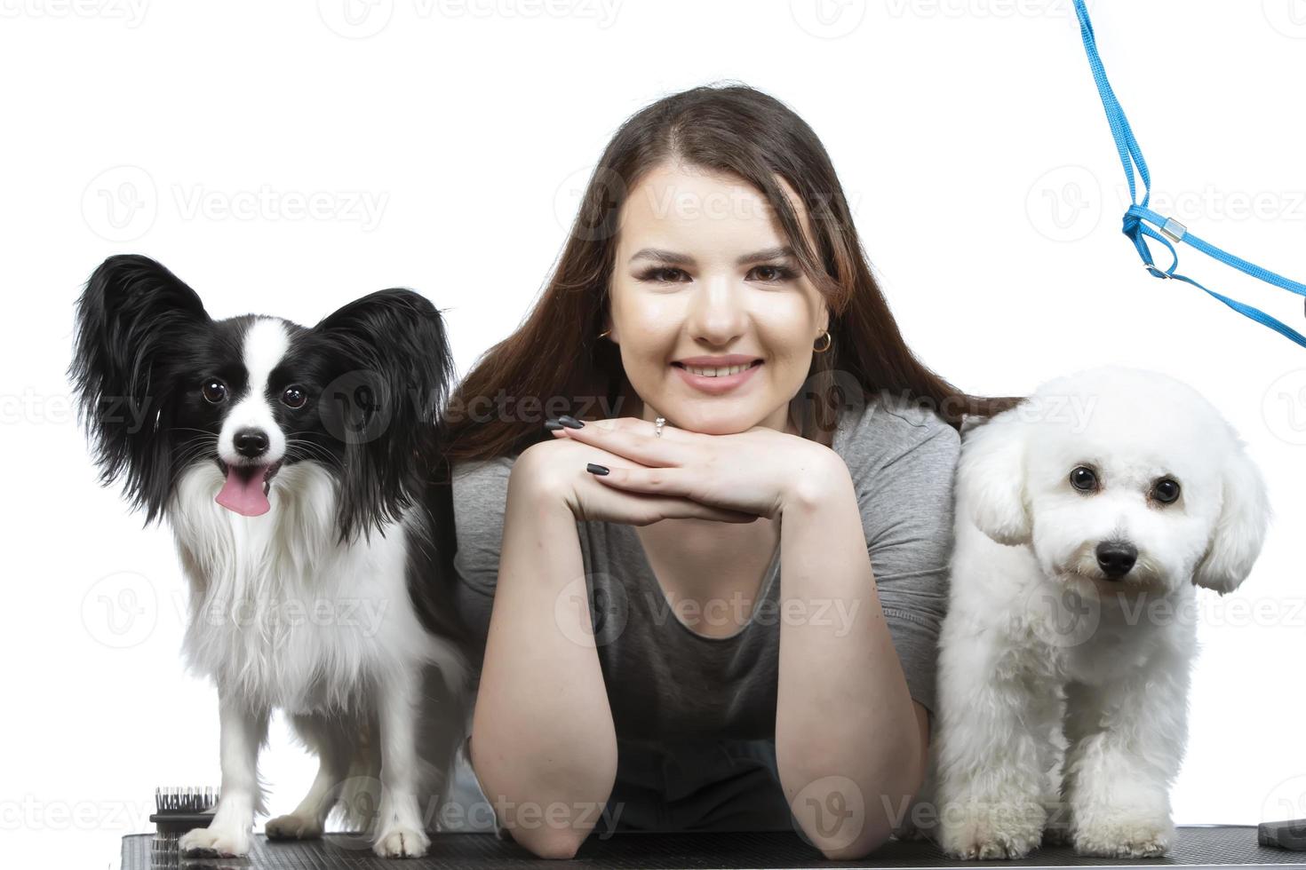 Happy girl holding cute bichon and papillon dogs. photo