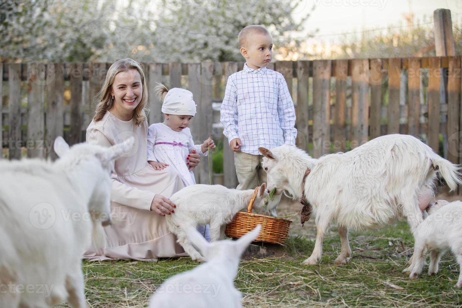 Mom with a little daughter feeds a goat. Woman with children on the farm. Family with goats. Village life. photo