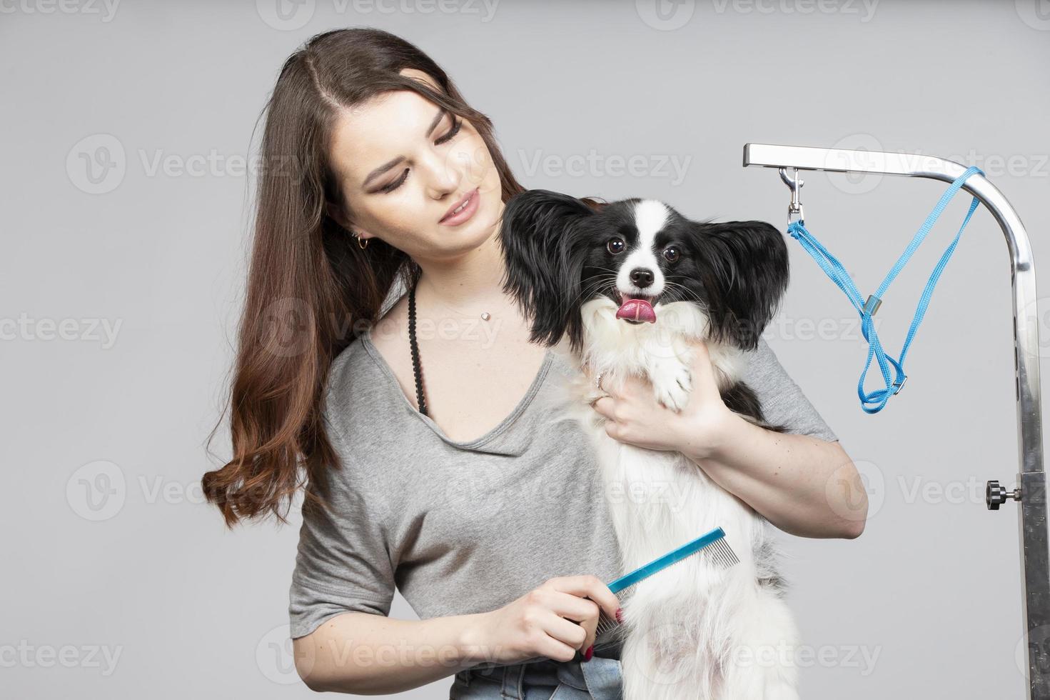 Young professional groomer with pets. She is posing with an instrument. Papillon dog and girl hairdresser. photo