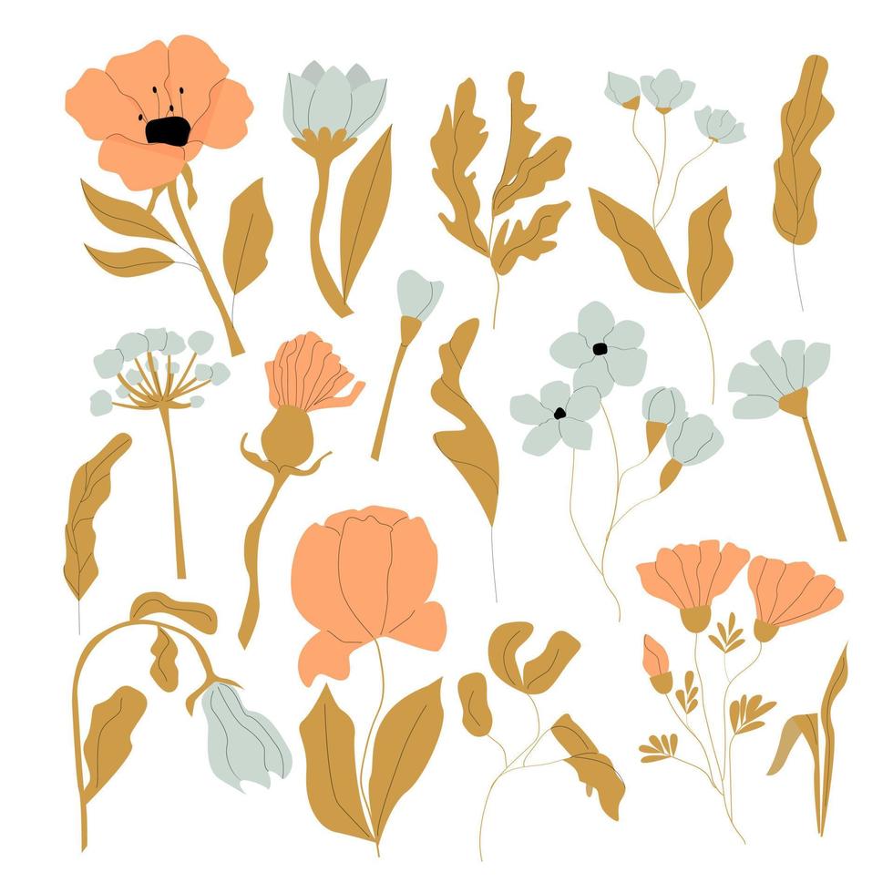 conjunto de vector flores y hojas aislado en blanco fondo.botanical colección con decorativo elementos.