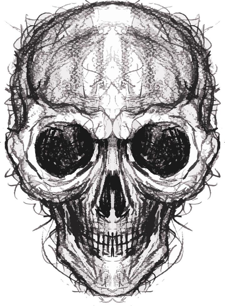 Art sketch skull. Hand drawing and make graphic vector. vector