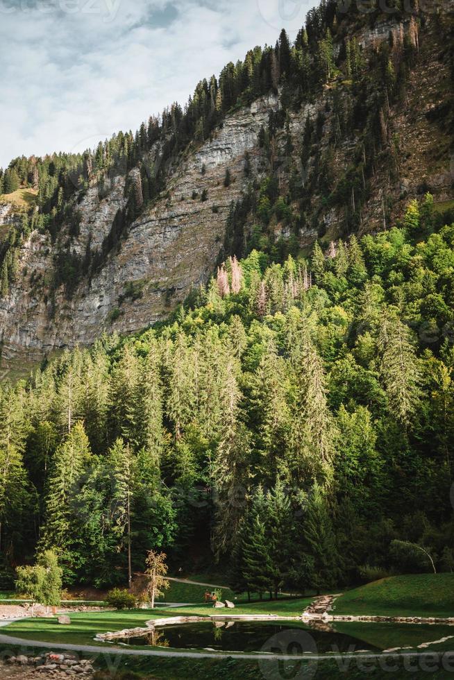 Majestic mountains in the Alps covered with trees and clouds photo