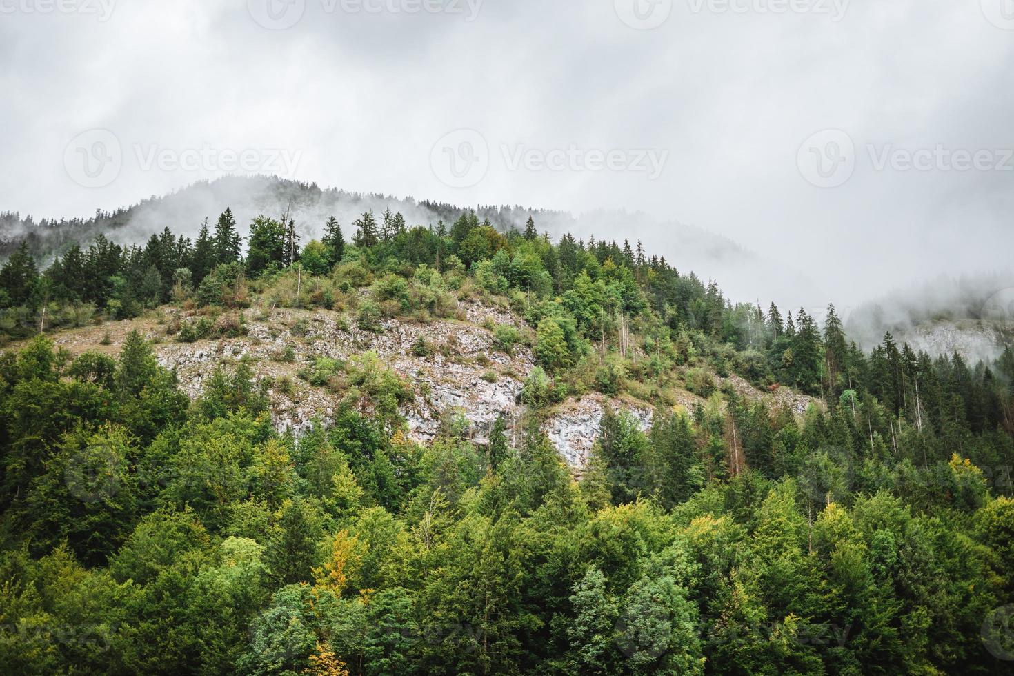 Majestic mountains in the Alps covered with trees and clouds photo