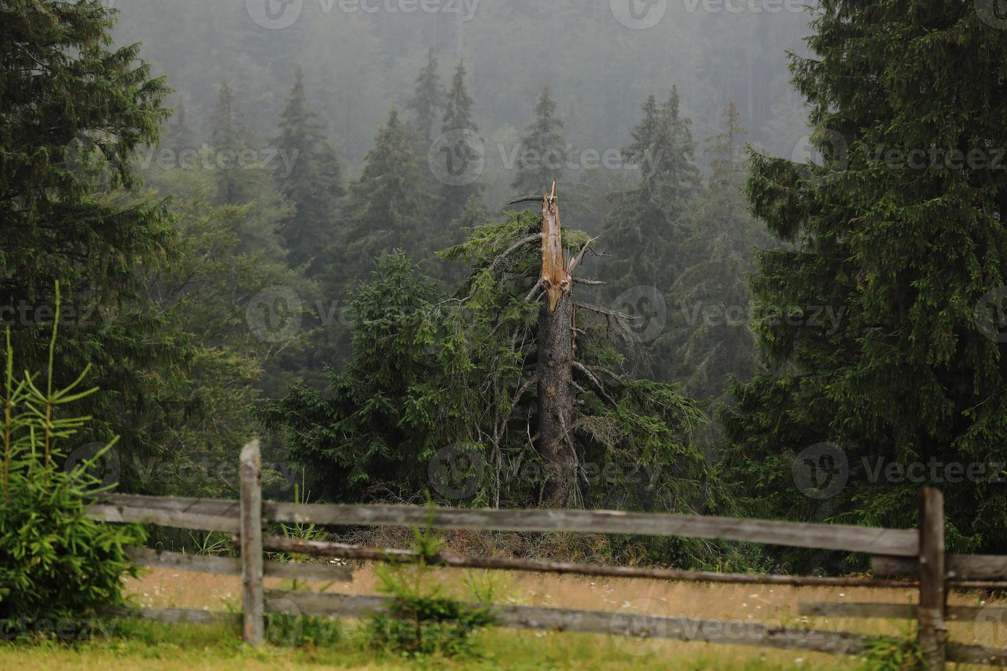 autumn meadow with a old wooden fence on a farm close up, in the Smoky Mountains on a foggy day. travel destination scenic, carpathian mountains photo