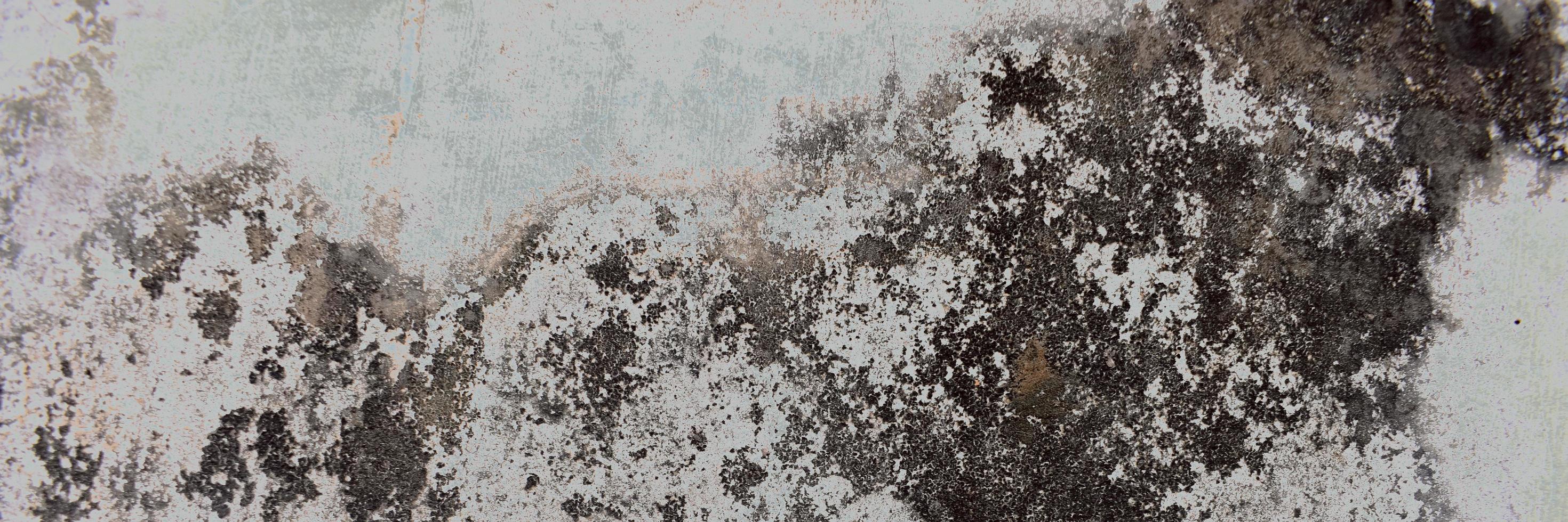 Abstract texture wall background. design on cement and concrete textute for pattern and background photo