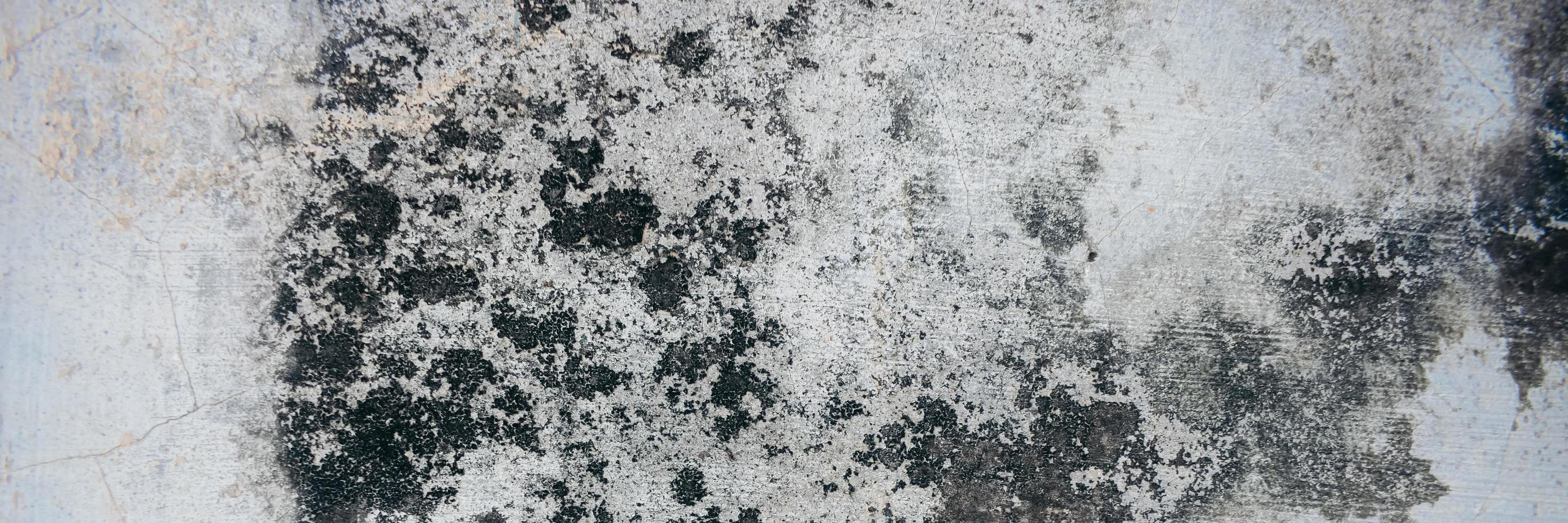 Abstract texture wall background. design on cement and concrete textute for pattern and background photo