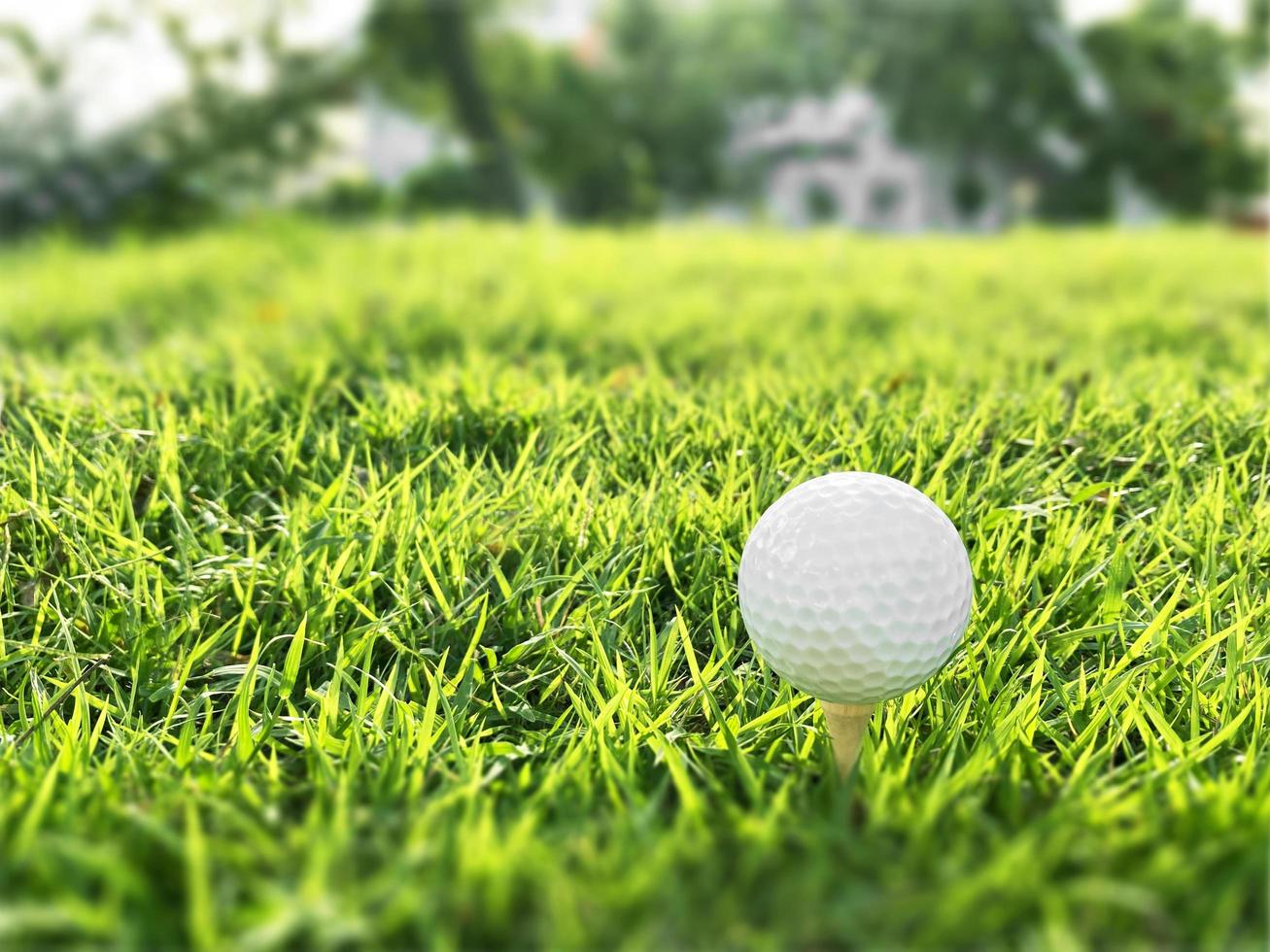 Golf ball close up on green grass on blurred beautiful landscape of golf course with sunrise,sunset time on background.Concept international sport that rely on precision skills for health relaxation. photo