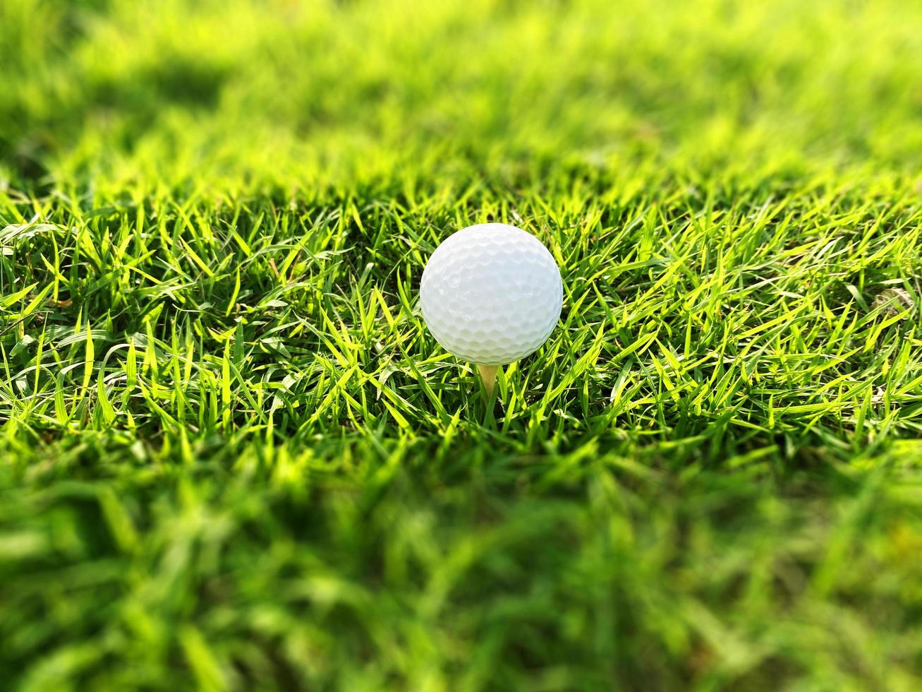 Golf ball close up on green grass on blurred beautiful landscape of golf course with sunrise,sunset time on background.Concept international sport that rely on precision skills for health relaxation. photo
