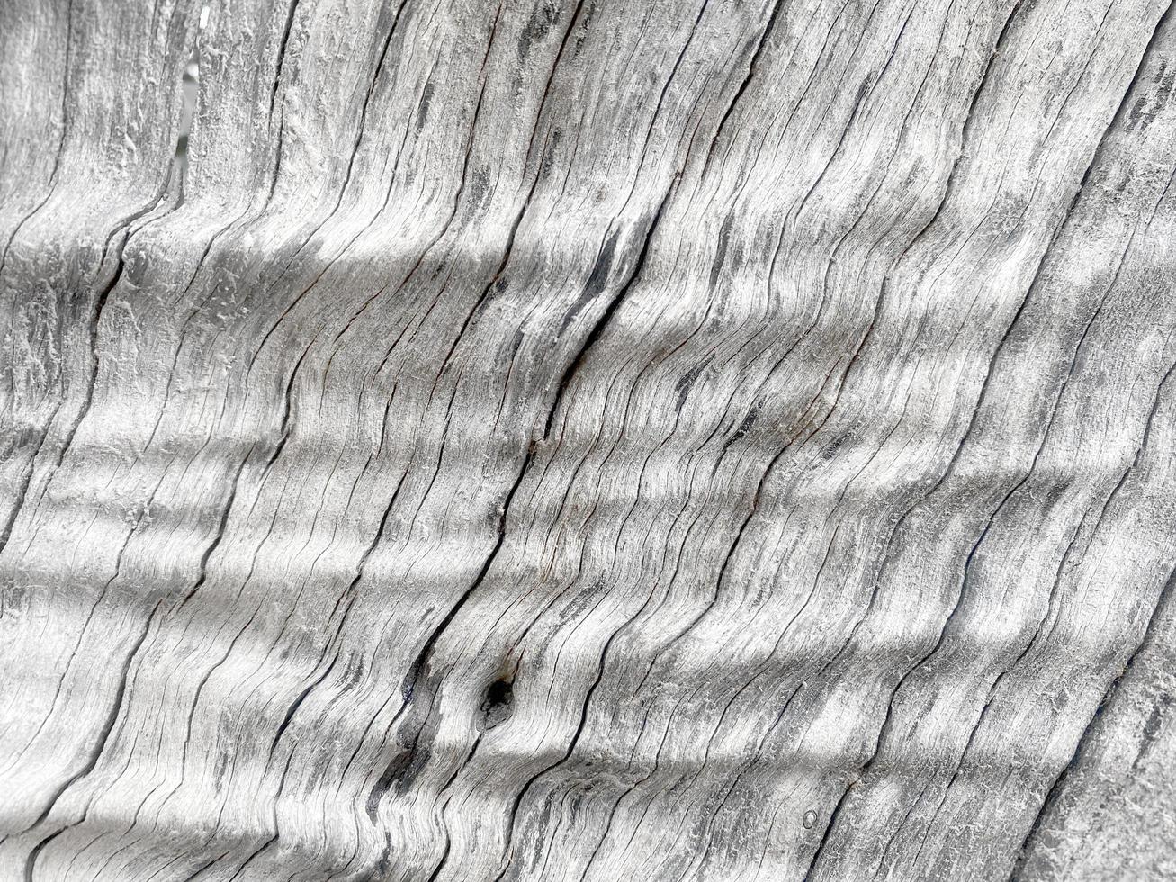 Old wood texture crack, gray-white tone. Use this for wallpaper or background photo