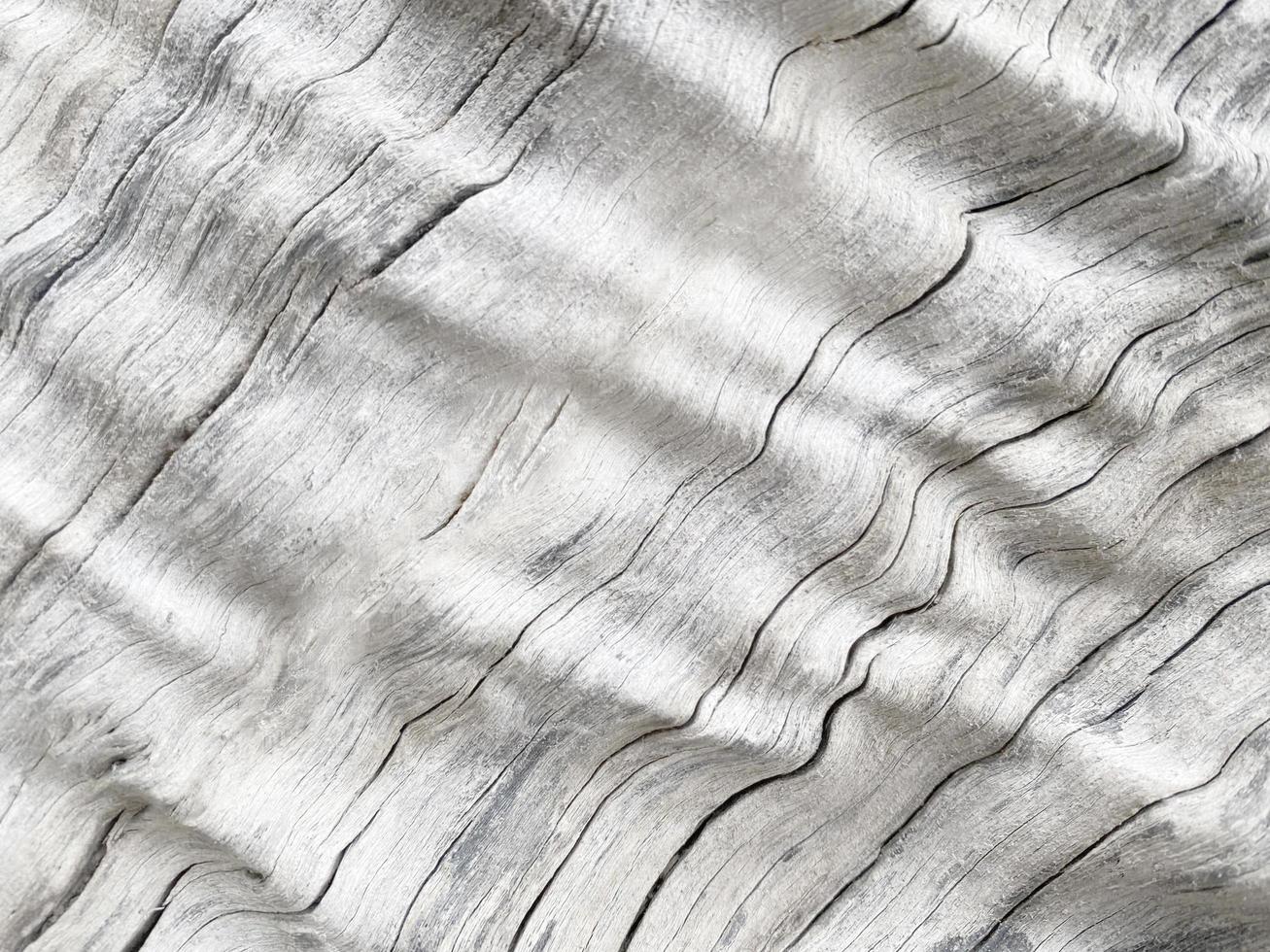 Old wood texture crack, gray-white tone. Use this for wallpaper or background photo