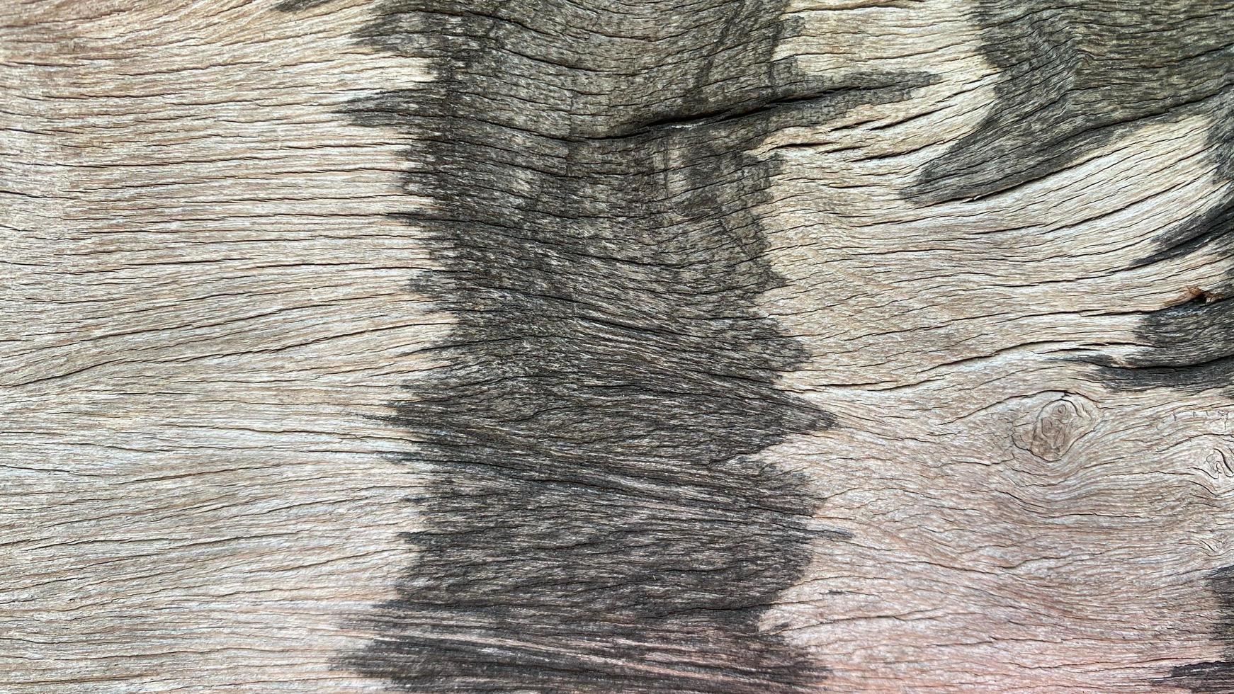 Old brown wood grain texture for seamless background. Retro style or applied to designs and has space for additional text and decoration. photo