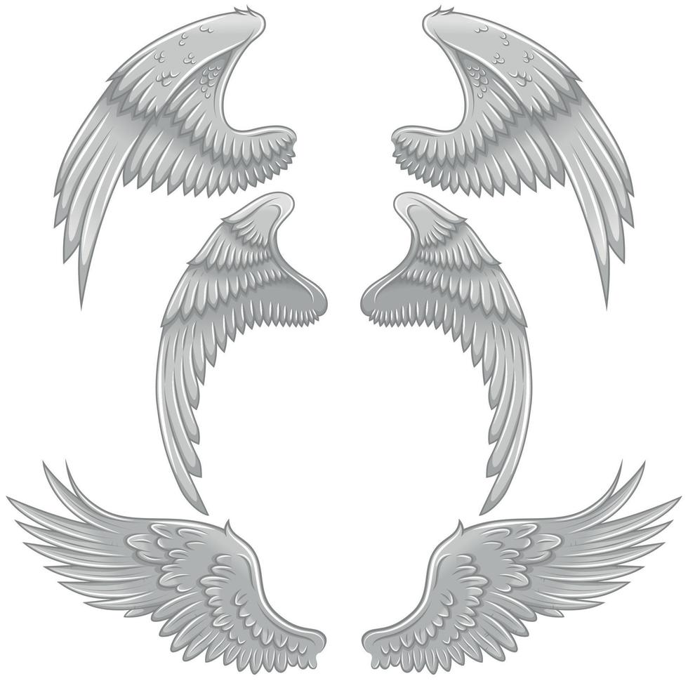 Angel wings vector design