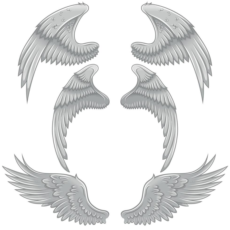 Angel wings vector design