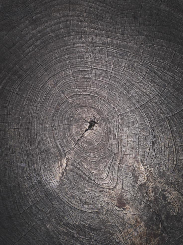 cerca arriba el es tejido dentro un red madera fibra fondo de pantalla. natura cuerda textura como un antecedentes. lleno marco de estrechamente tejido cuerda patrón.con espacio para texto, para un antecedentes. foto