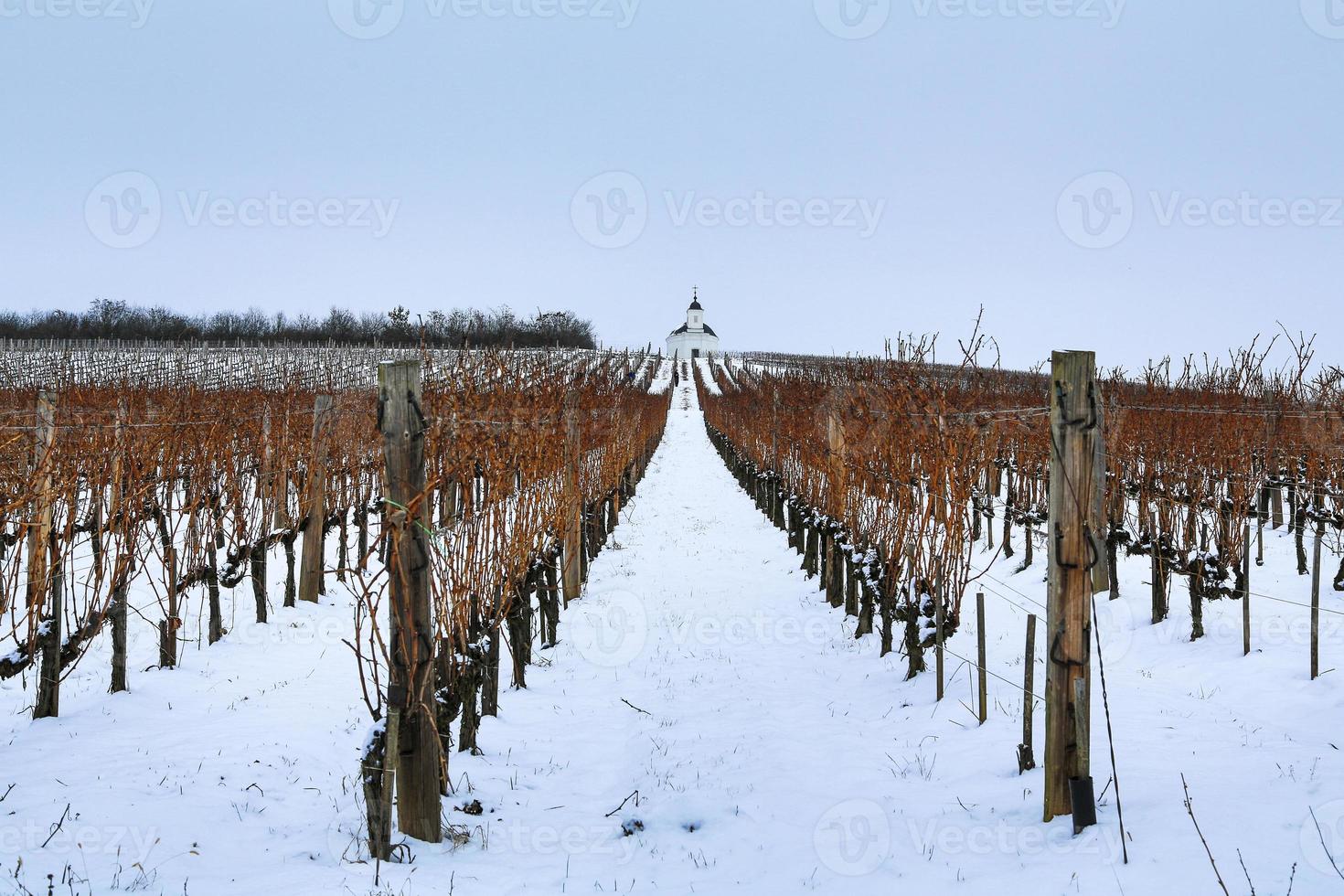 Old chapel near Tokaj photo