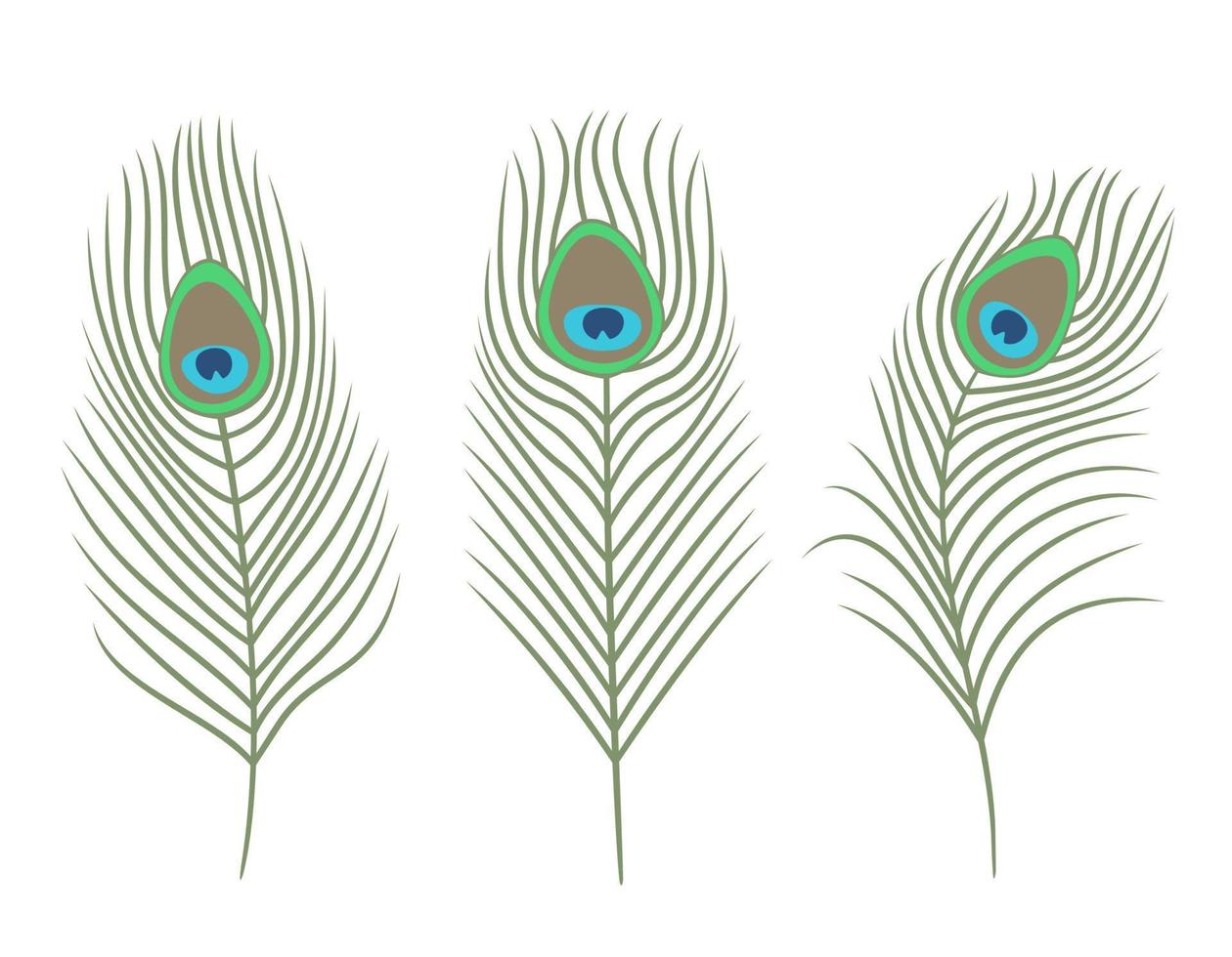 Set of peacock feathers in flat style. vector