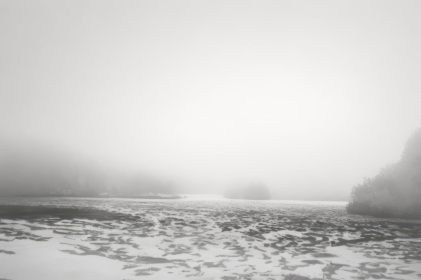 fog in winter background photo