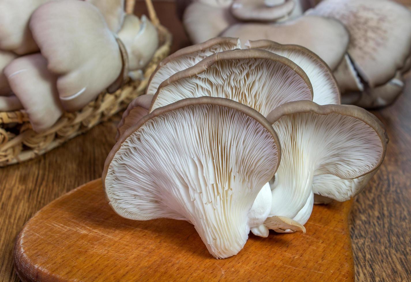 Fresh oyster mushroom on the board photo