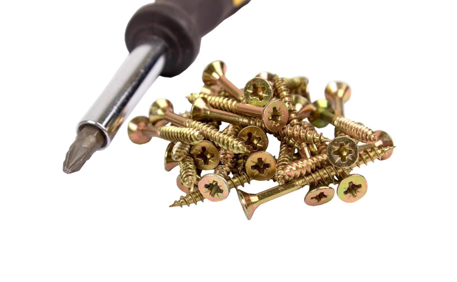 Screws and screwdriver isolated photo