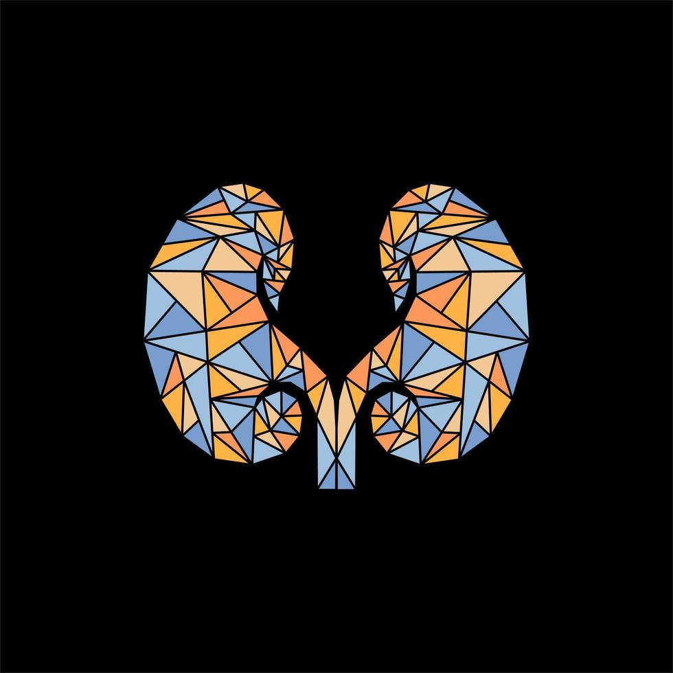 Human kidney geometric colorful illustration design vector