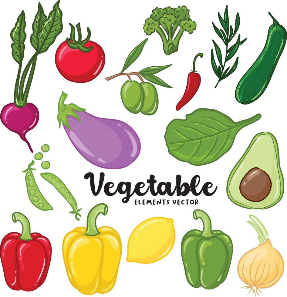 illustration vegetable elements vector set