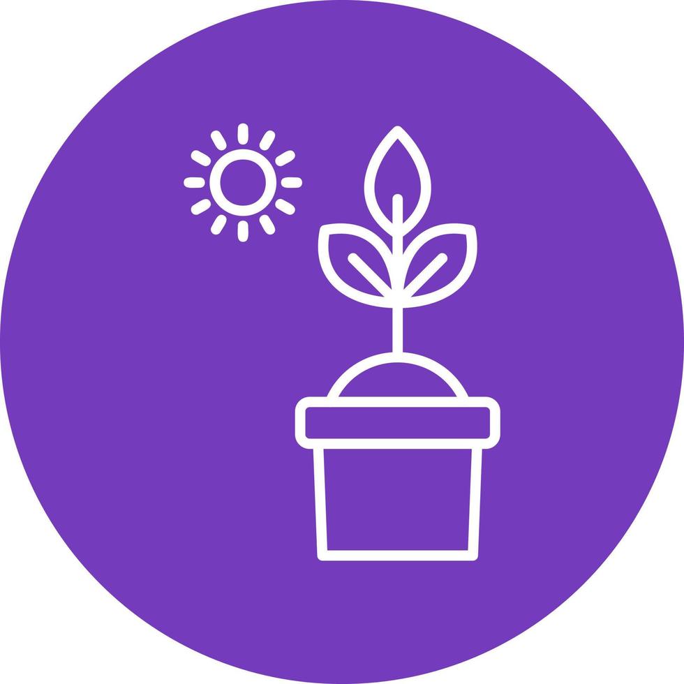 Photosynthesis Vector Icon