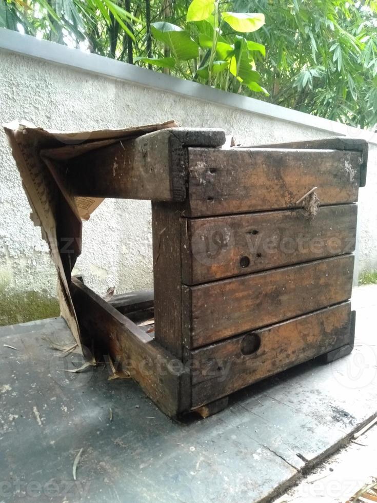 Tree of nature in front of wooden crates photo