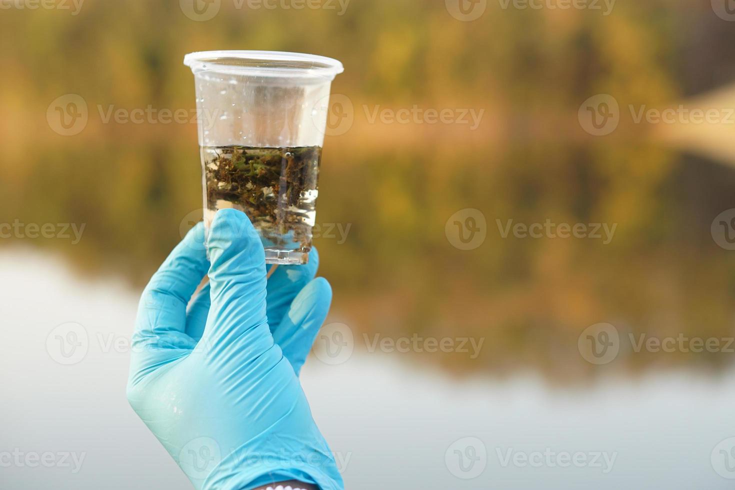 Closeup researcher hand wear blue gloves holds test glass that contain sample water and water plants from the lake.Concept, explore, analysis water quality from natural source. Ecology field research. photo