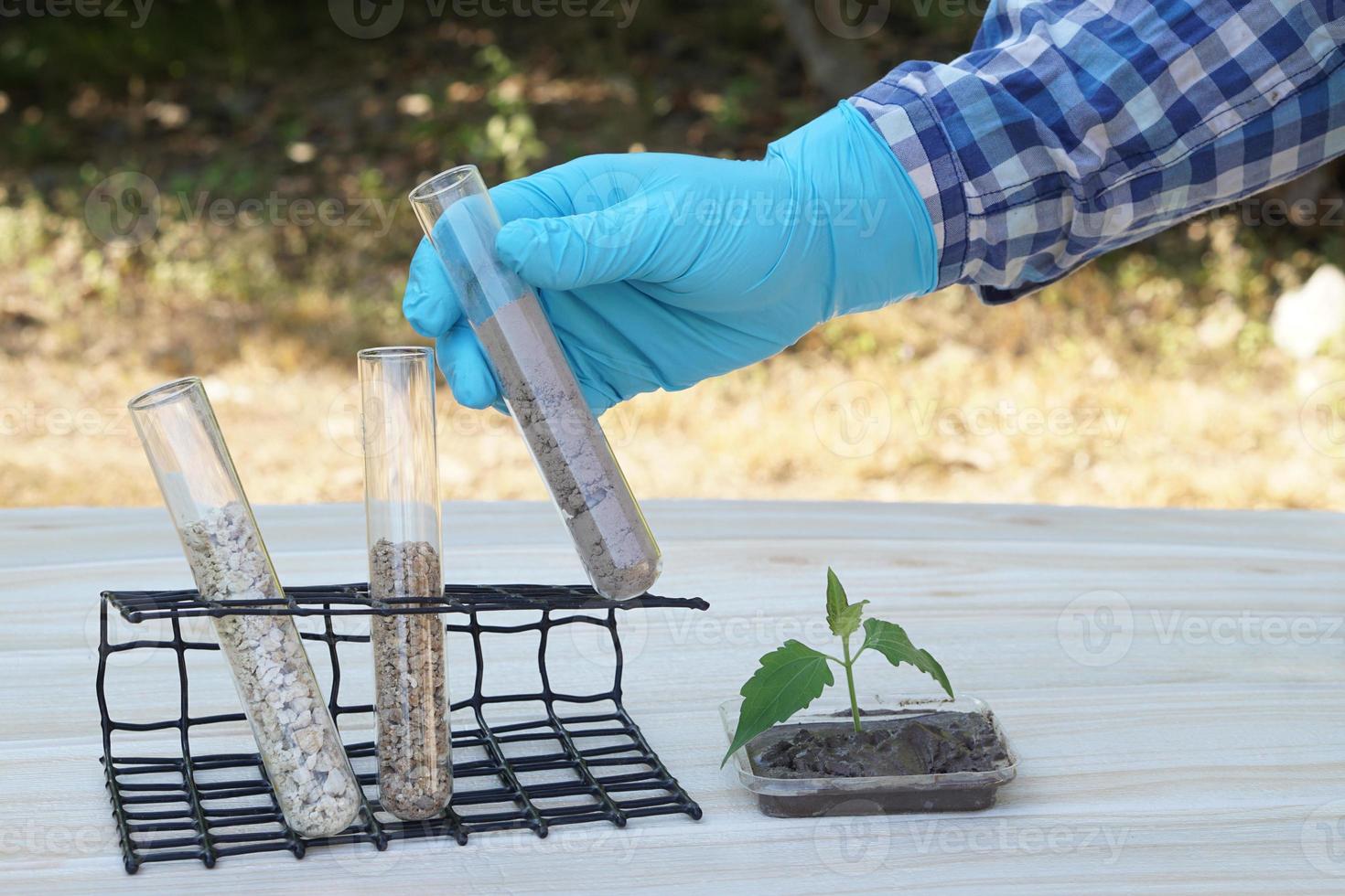 Closeup hand wears blue glove hold test tubes that contain sample soil. Concept, soil quality inspection, research and science experiment. Laboratory. Find the best from different soil type and source photo