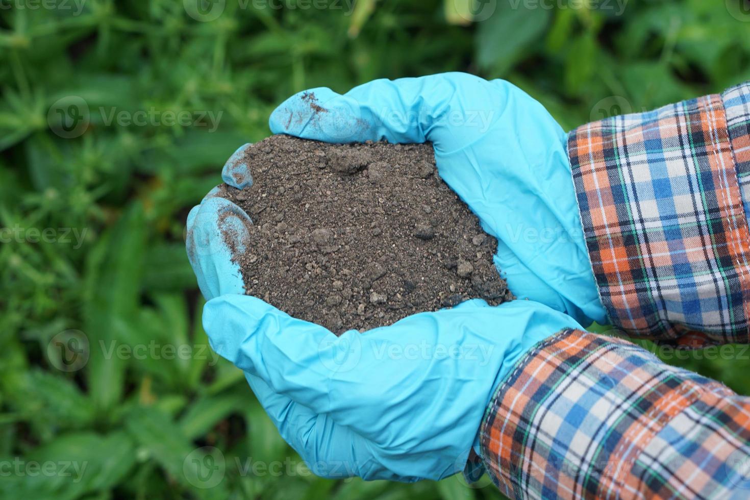 Closeup gardener hands holds natural compost soil in garden. Concept, inspect soil quality to find the best for growing plants. Agriculture. photo