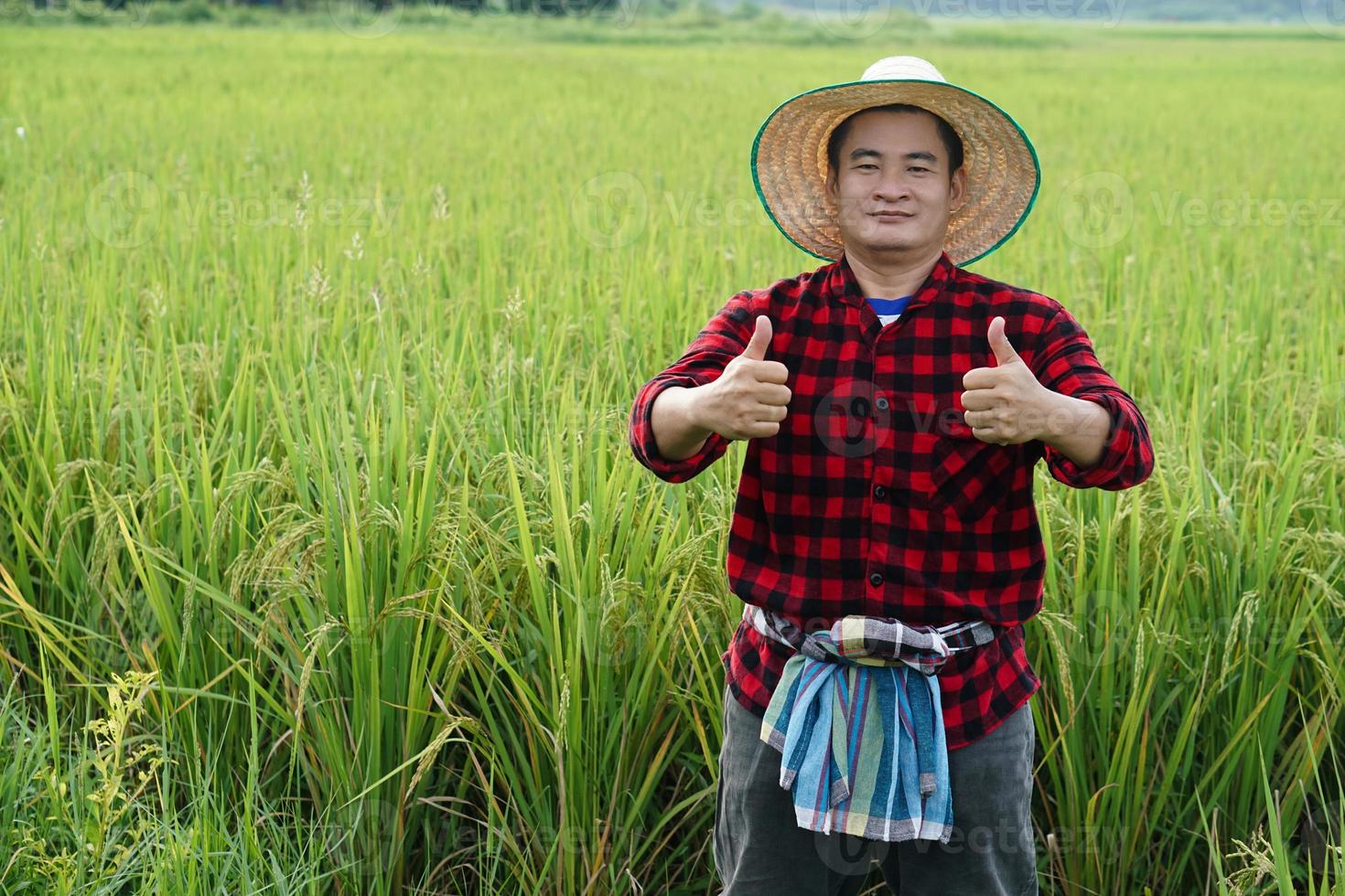 Handsome Asian man farmer is at paddy field, wears hat, red plaid shirt, thumbs up.  Feels confident.  Concept, agriculture occupation, farmer grow organic rice. photo
