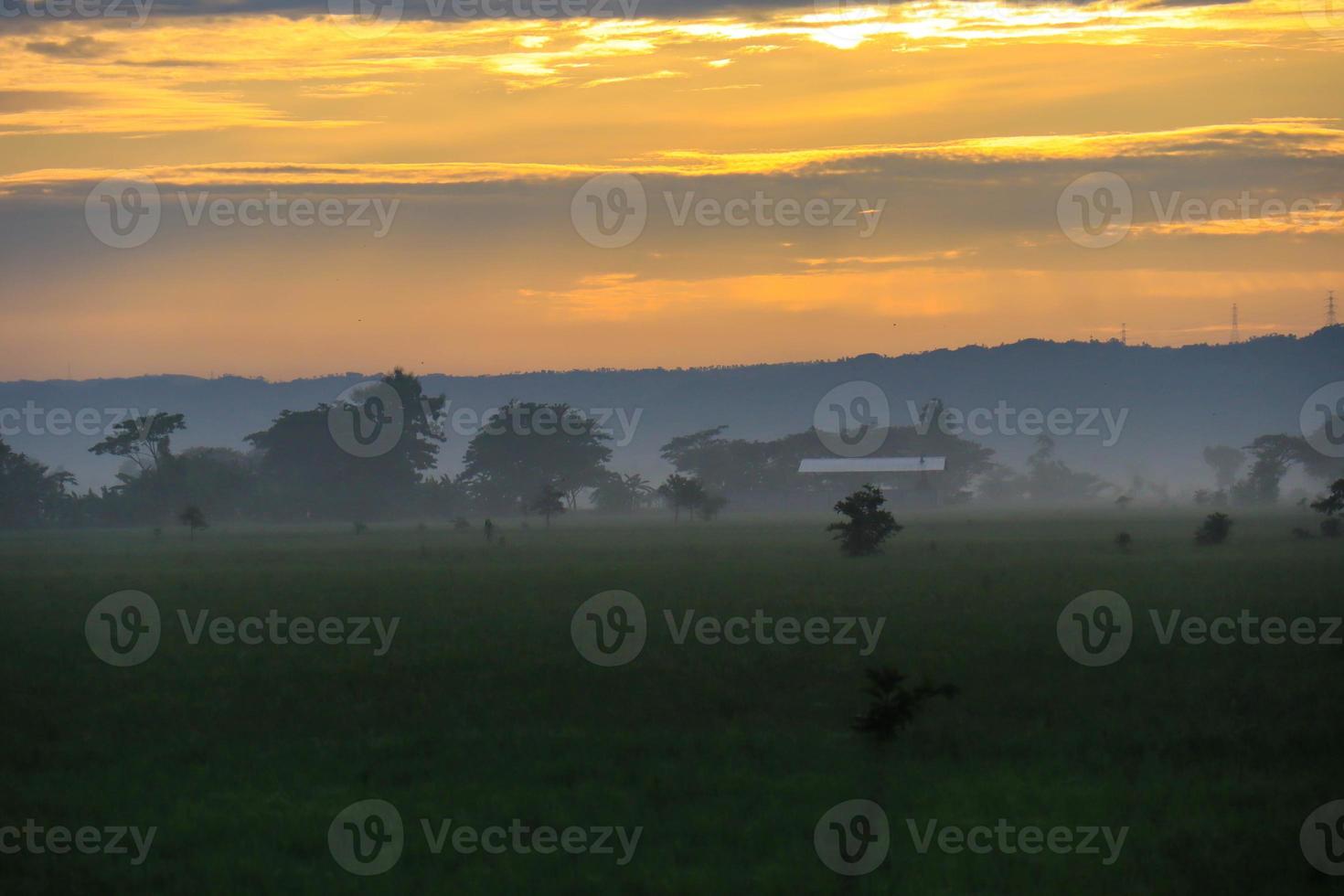 A Serene Rural Landscape of Farms photo