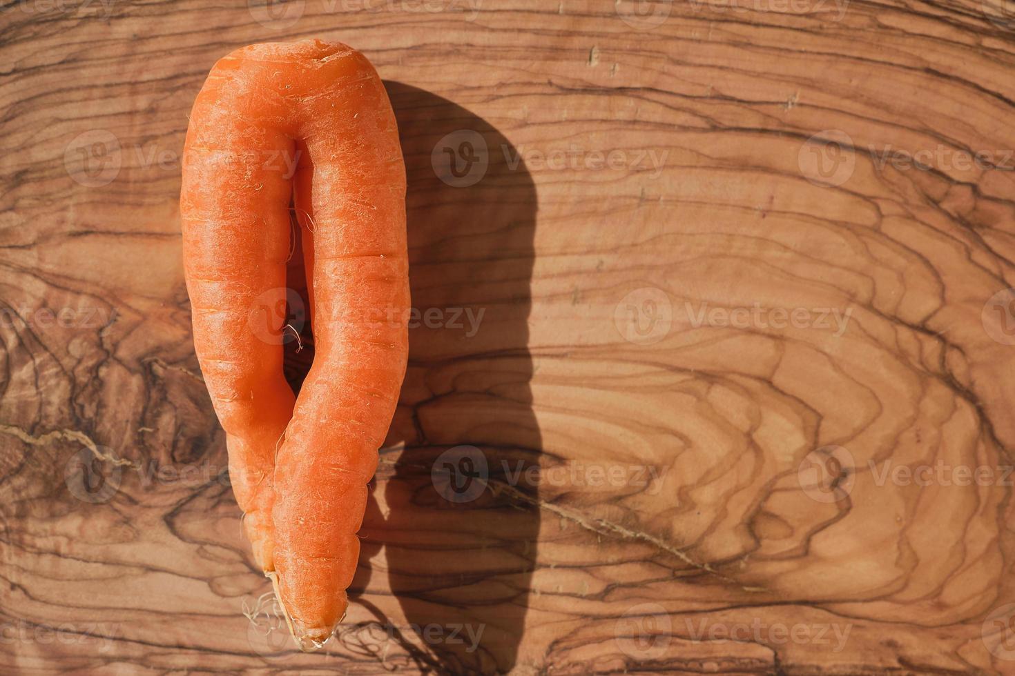 Freshly picked organic carrots from the farm on a wooden cutting board, bright sunlight, top view with copy space, preparing a dish photo