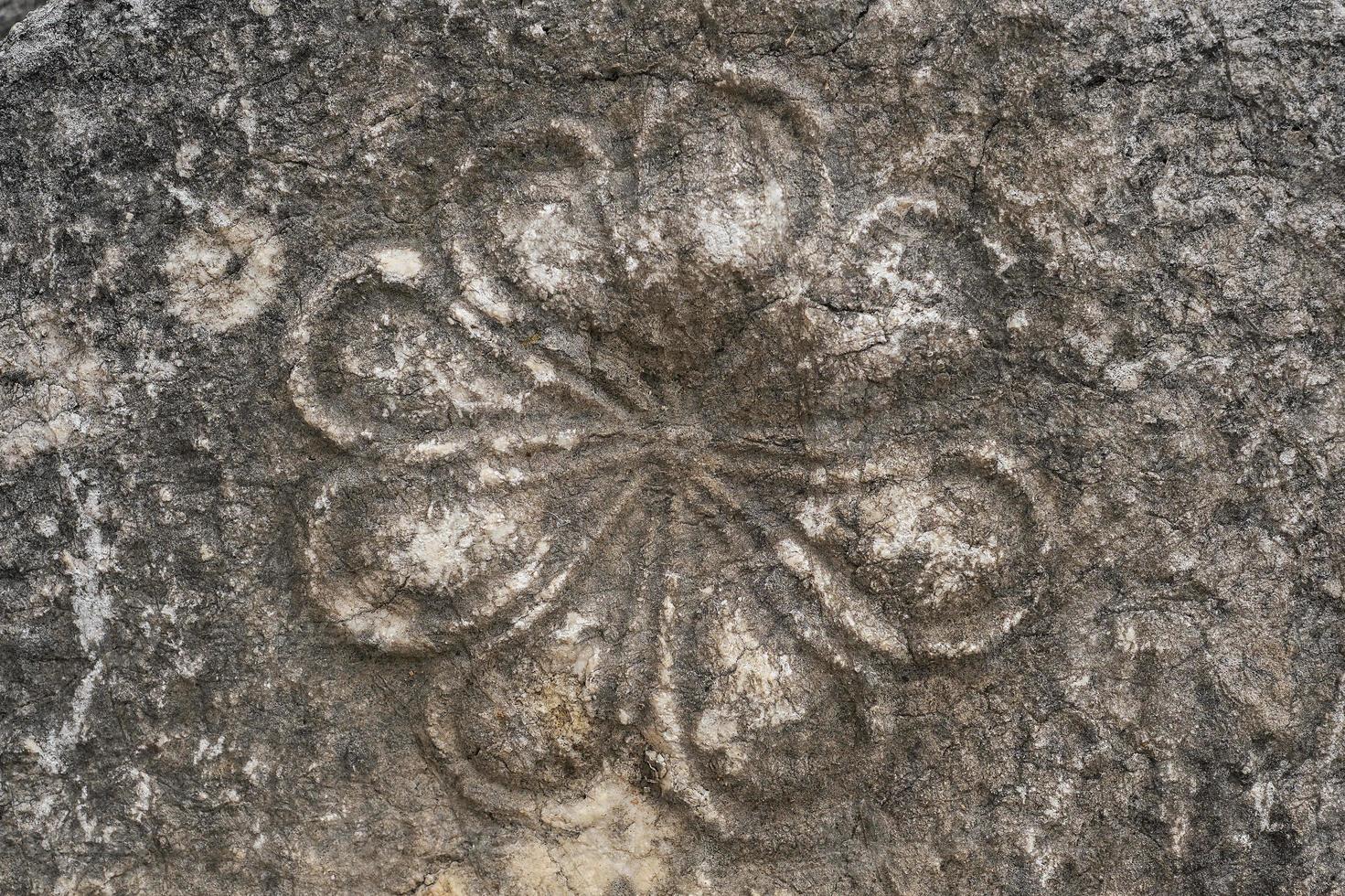 fragmento de decoración en el restos de un griego templo con un hermosa mármol tallado, el historia y patrimonio de antiguo civilizaciones en el Egeo región de pavo, vacaciones viaje foto