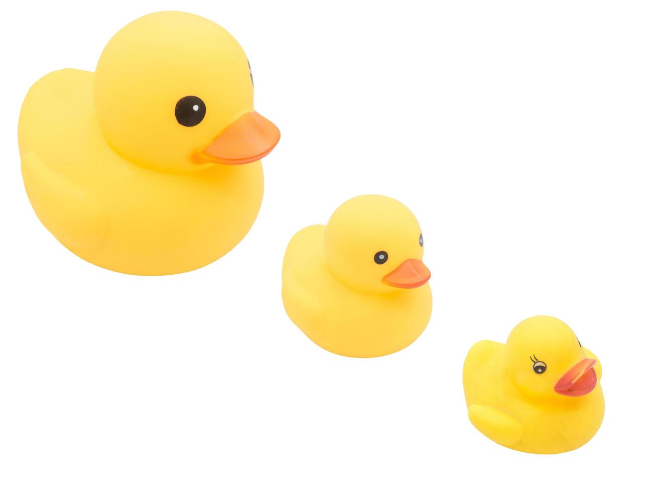 Set of Yellow rubber ducks on isolated white background. The cute object isolated on white background. photo