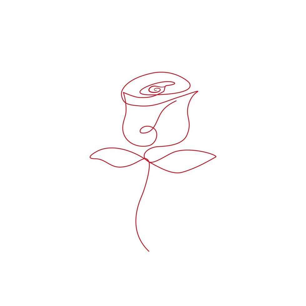 Continuous line blooming rose flower drawing in minimalist style. Mono line floral art vector design.
