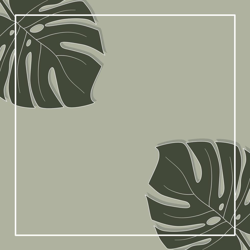 Green monstera leaf background or template vector