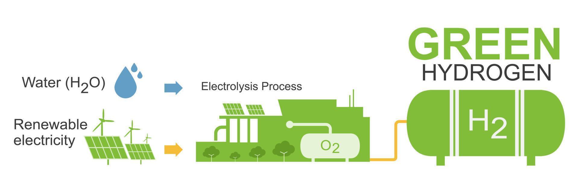 tipo de hidrógeno producción verde color electrólisis ecología para limpiar energía cómo trabajo diagrama concepto ilustración vector