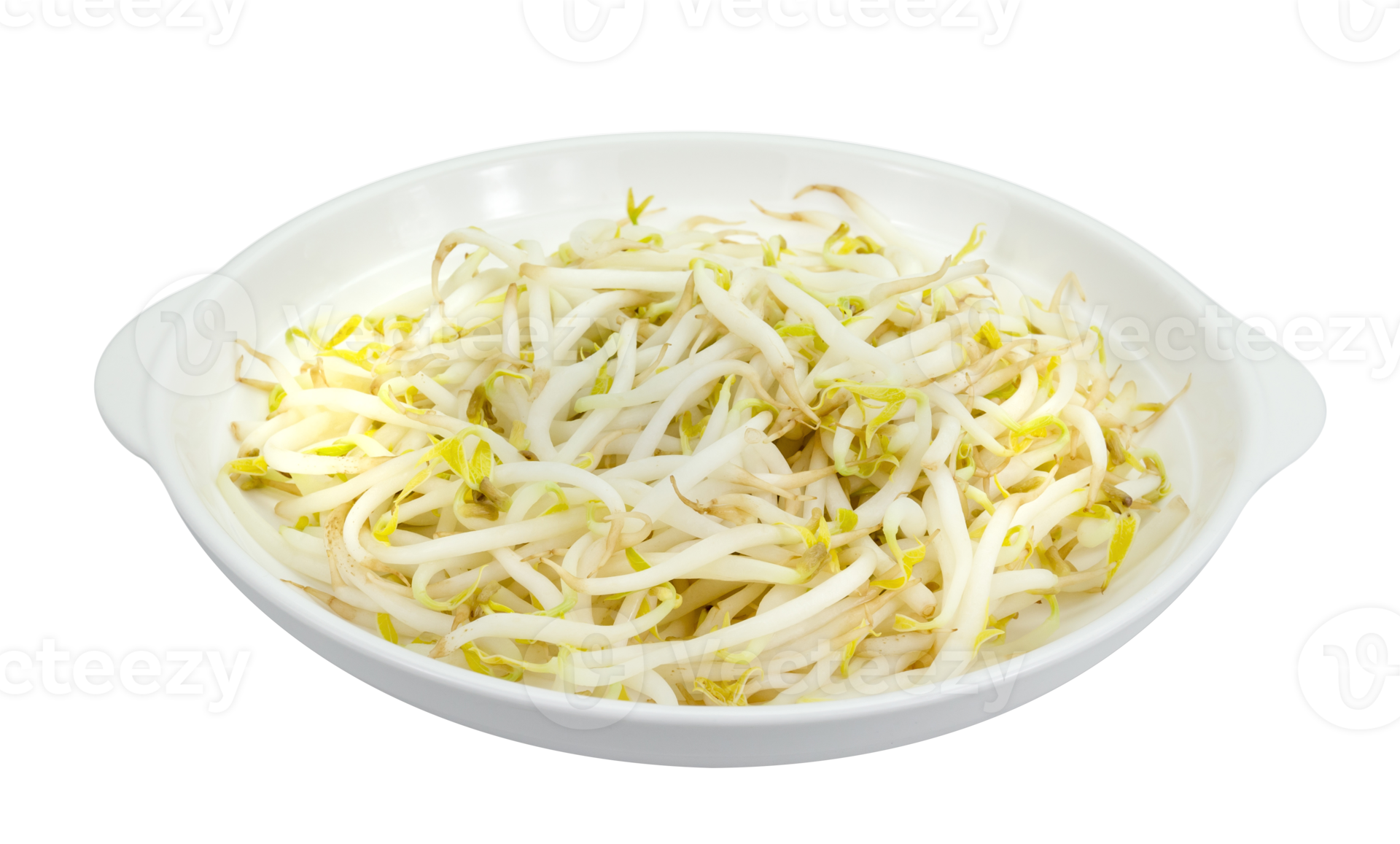 Bean sprouts with dish isolated 20521704 PNG