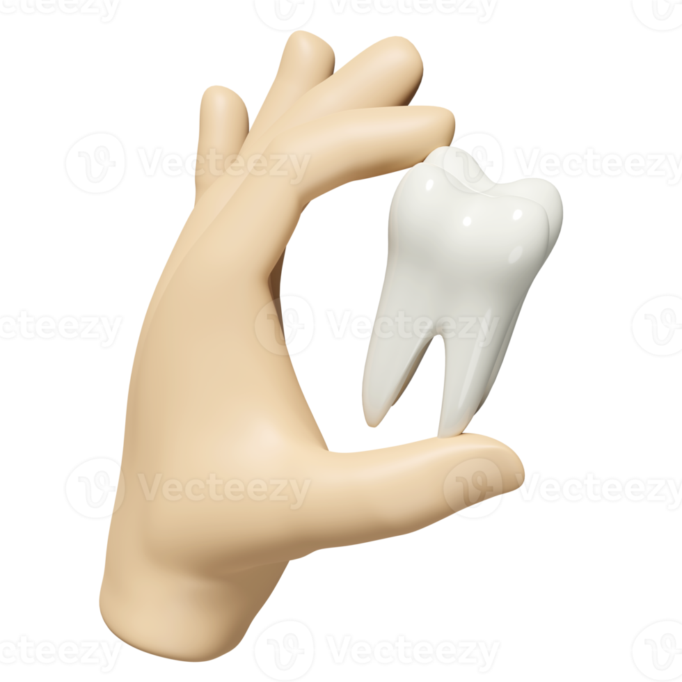 3d mains tenir dentaire molaire les dents modèle icône isolé. santé de blanc dents, dentaire examen de le dentiste, 3d rendre illustration png