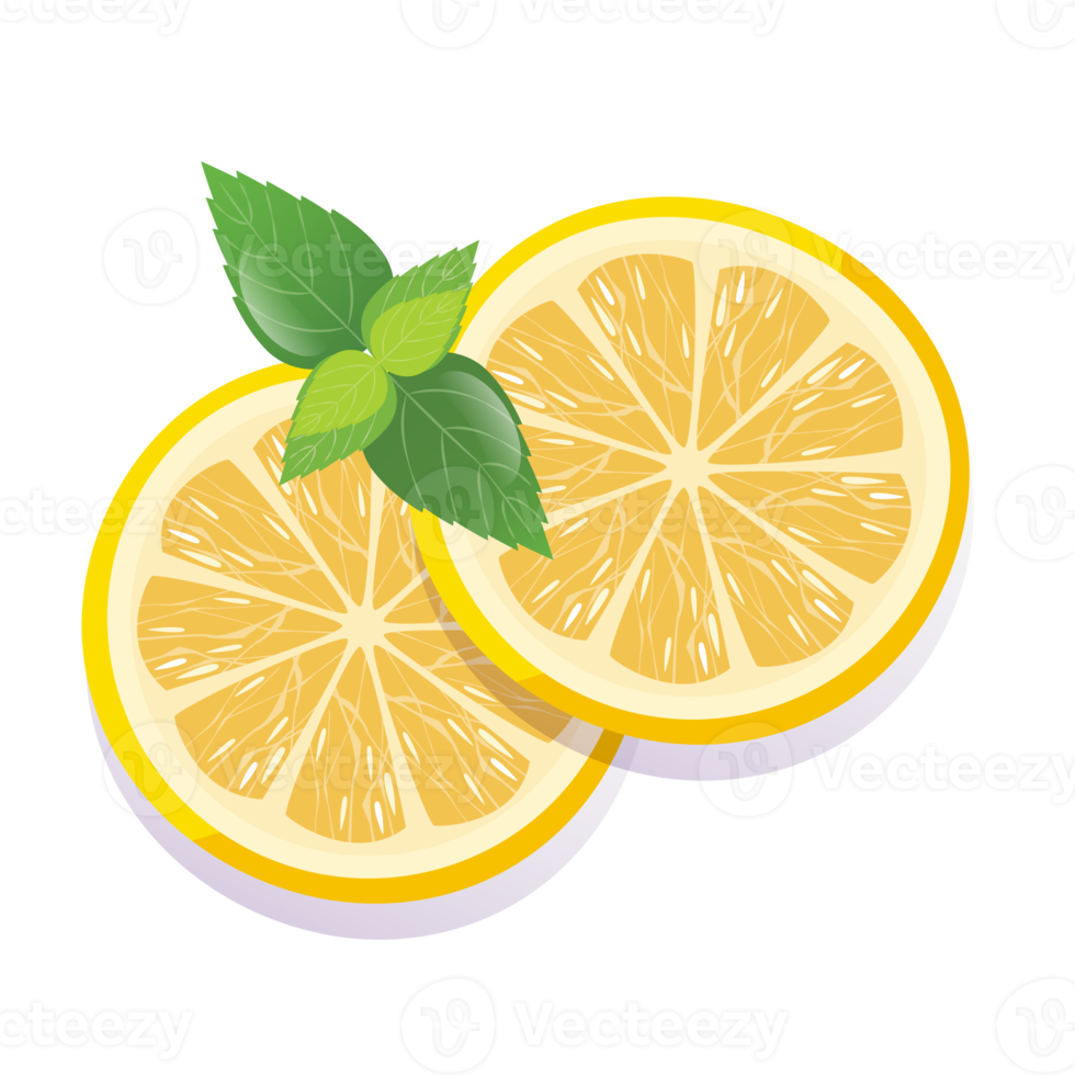 Fresh sliced lemon fruits isolated png