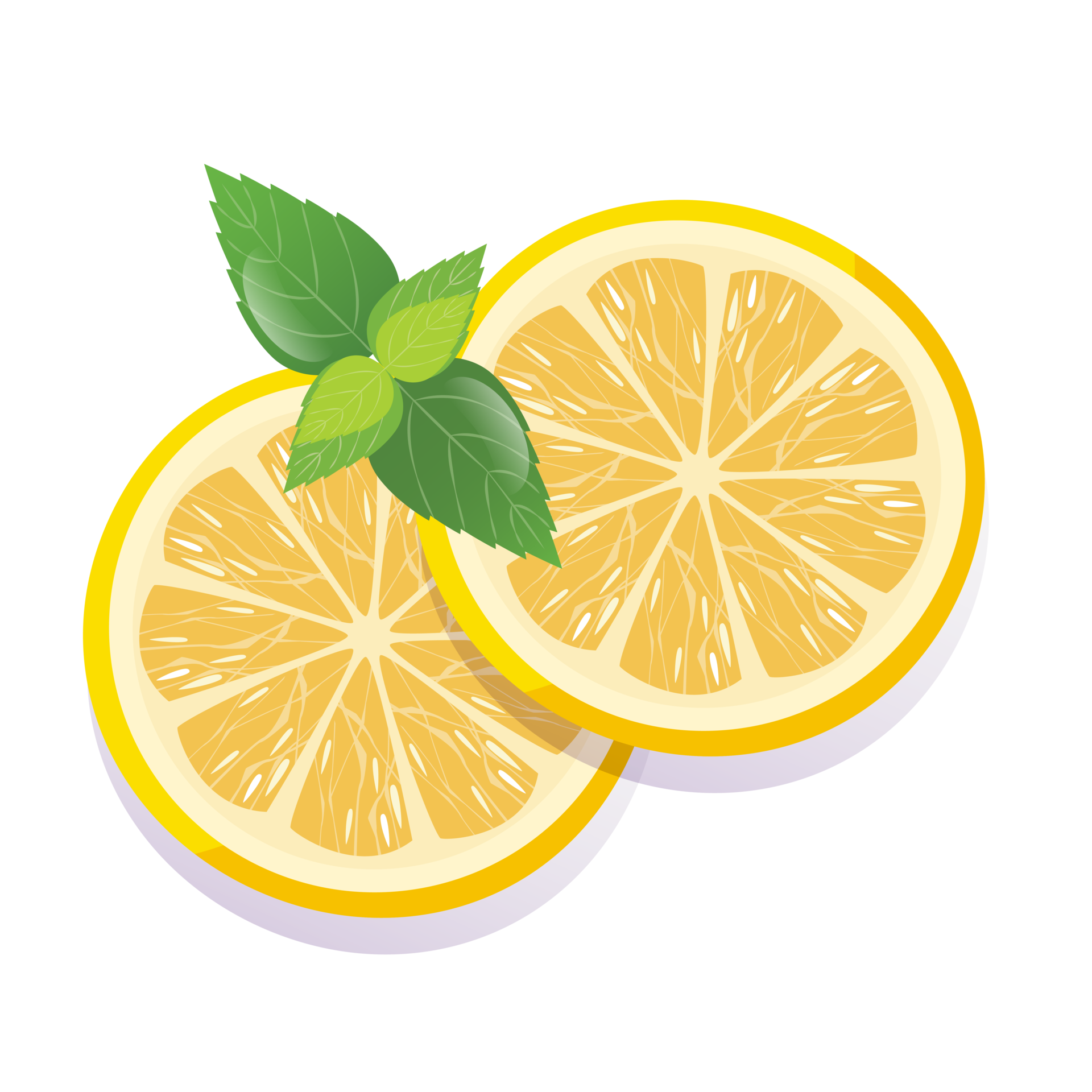 fresh-sliced-lemon-fruits-isolated-20523102-png