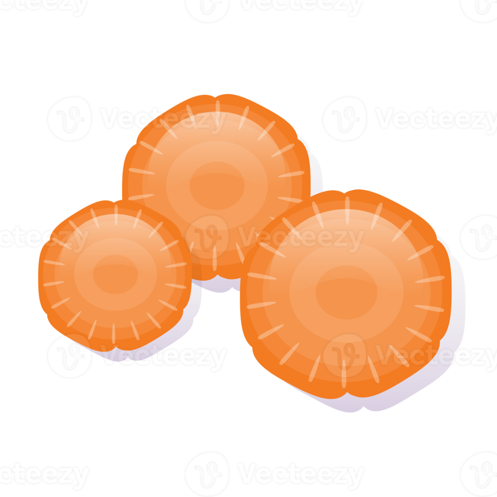 carrot slices isolated png