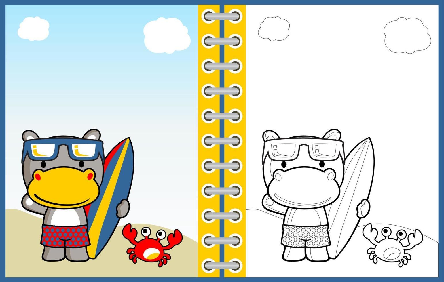 Cute hippo holding surfboard with crab, vector cartoon illustration, coloring page or book