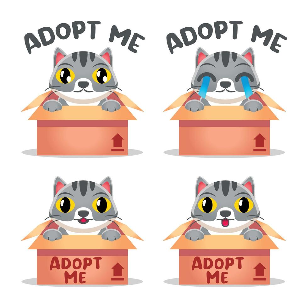 Cute Kawaii kitten cat adoption Mascot Cartoon Design Illustration Character vector art isolated on white background.