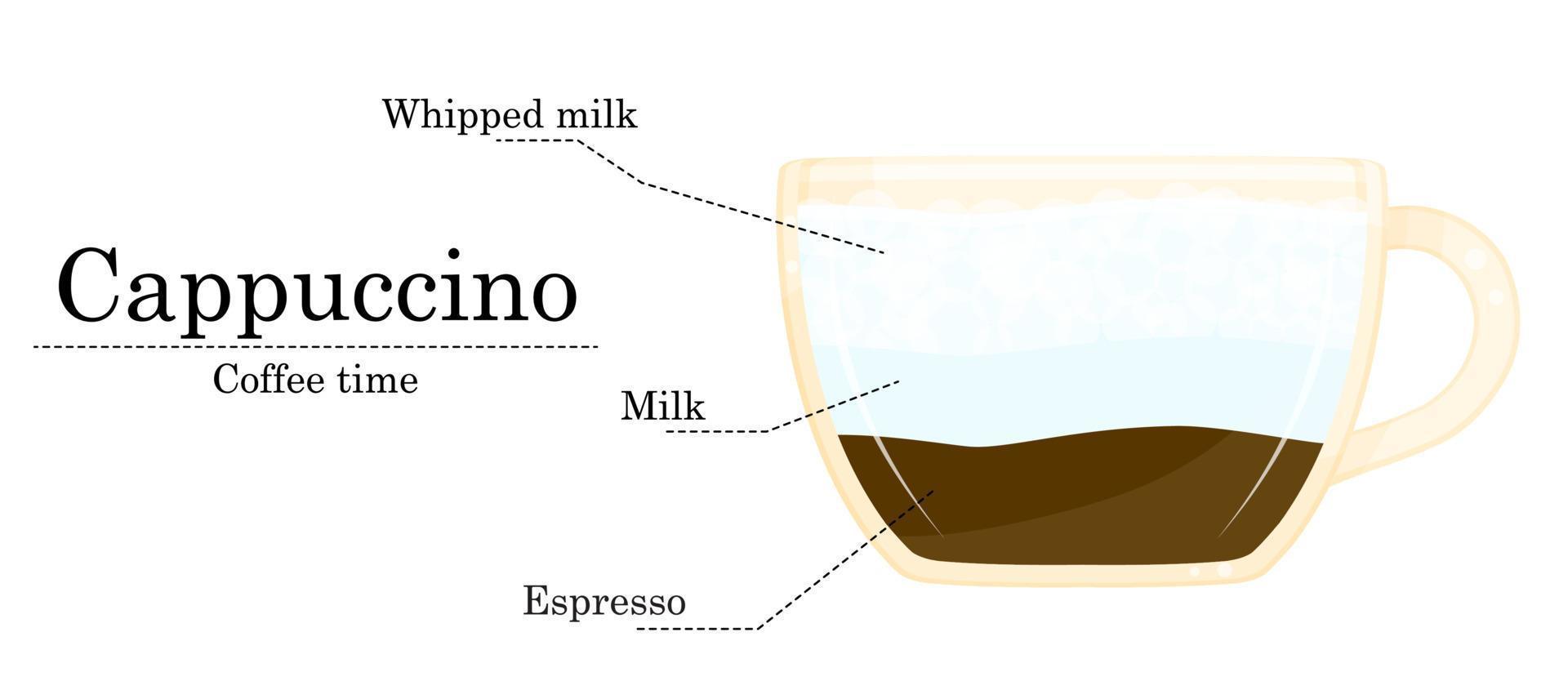 Vector illustration of coffee recipe, cappuccino recipe, coffee shop illustration
