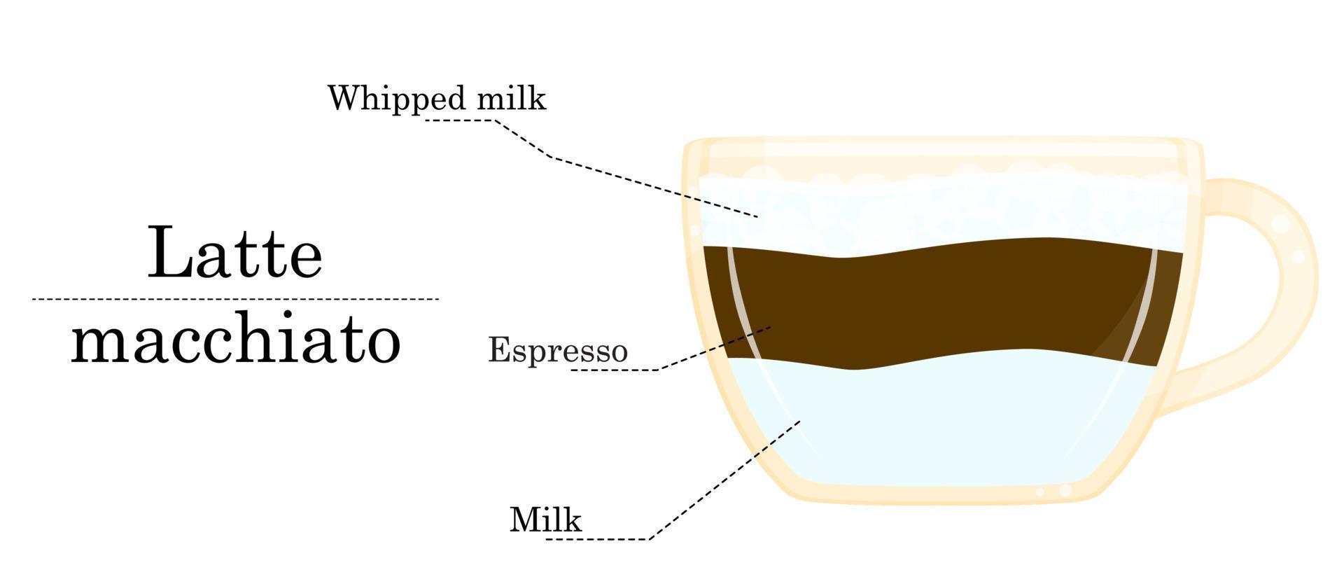 Vector illustration of coffee recipe, latte macchiato recipe, coffee shop illustration