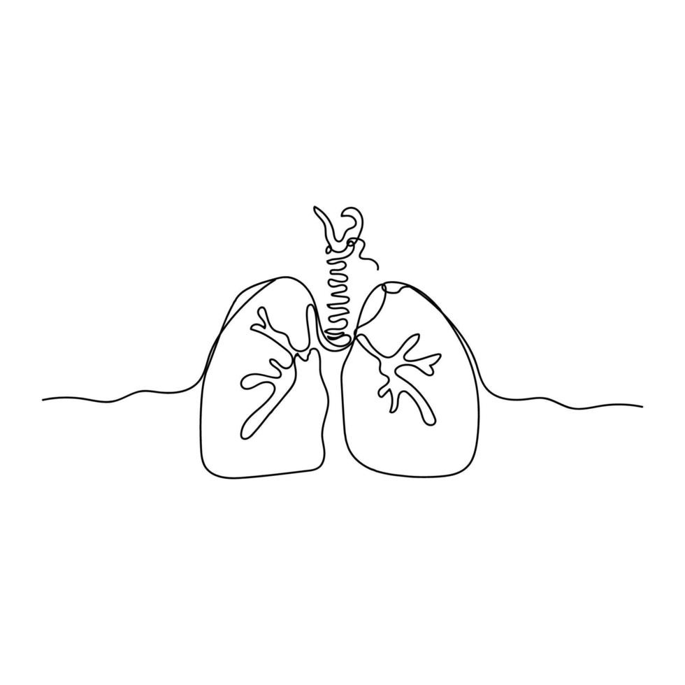 Minimalist Human Lungs Line Art, Anatomy Outline Drawing, Organ Sketch, Vector Illustration