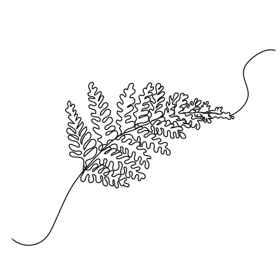 Minimalist Fern Line Art, Simple Plant Drawing, Black White, Flower, Leaf Leaves Sketch vector