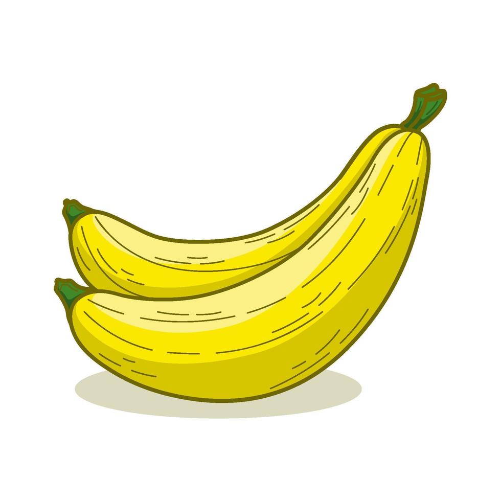 mano dibujado tropical plátano Fruta vector